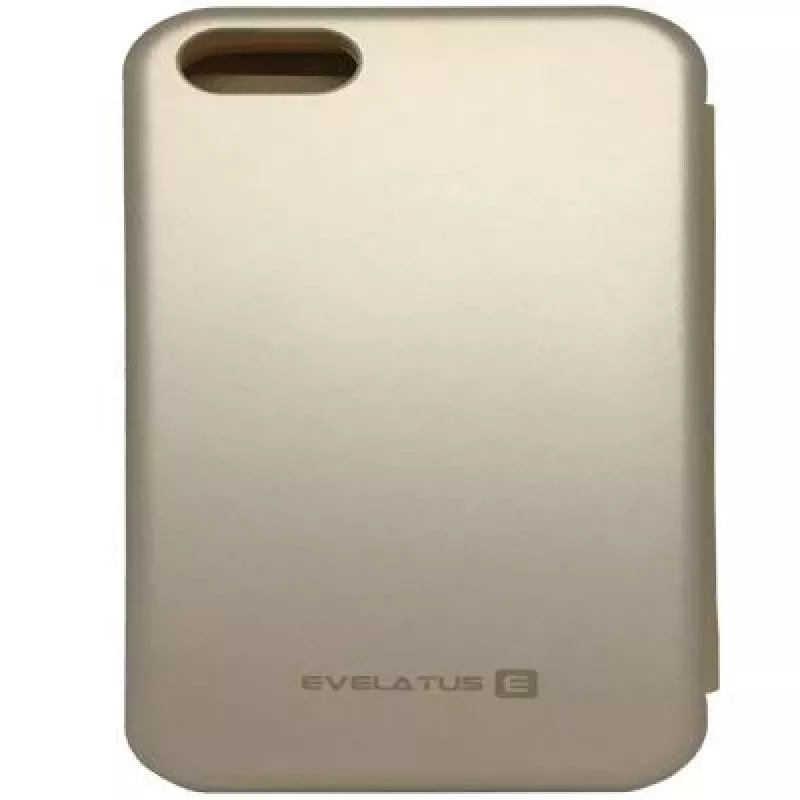 Evelatus Samsung Galaxy S10e Buchhülle Gold