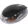 Exertis Connect 320300 Beidhändige USB-optische Maus, 800 DPI, Schwarz