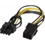 EXERTIS CONNECT PCI Express 6-Pin auf 8-Pin Stromadapterkabel für Grafikkarten (146695)