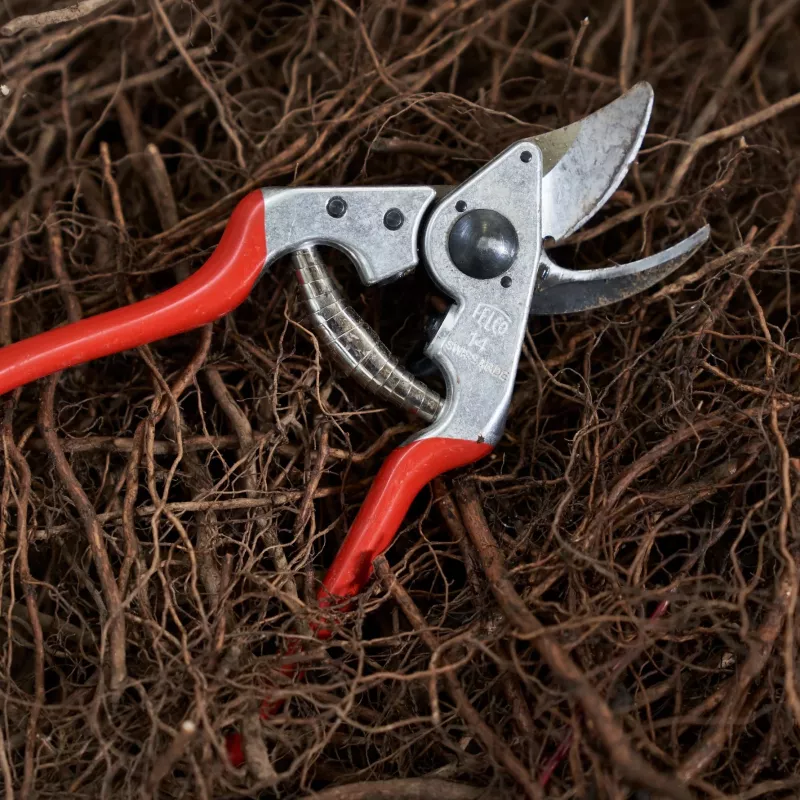 FELCO 14 Einhand-Bypass-Astschere – Gehärtete Stahlklinge, Geschmiedete Aluminiumgriffe, 195 mm