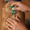Frontline Combo Spot-On L für Hunde 20-40 kg – 3 Pipetten x 2,68 ml