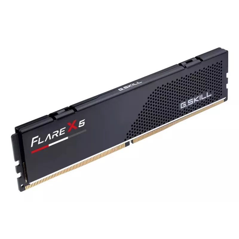 G.Skill Flare X5 16GB DDR5-6000 CL36 UDIMM Single Module Speicher - Matt Schwarz