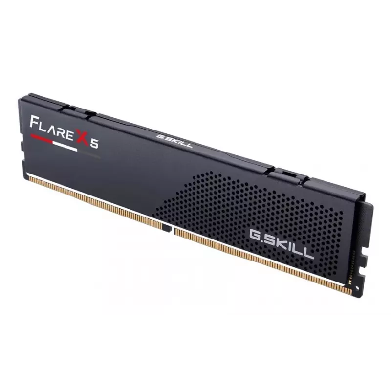 G.Skill Flare X5 16GB DDR5-6000 CL36 UDIMM Single Module Speicher - Matt Schwarz