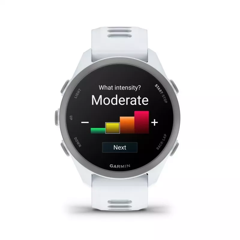 Garmin Forerunner 170 Music, Whitestone mit Whitestone/Cloud Blue Armband