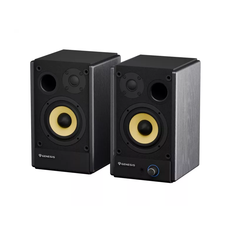 Genesis Arsen 402BT NGS-2415 Desktop-Lautsprecher, 2.0, 60 W, Bluetooth 5.3, Schwarz