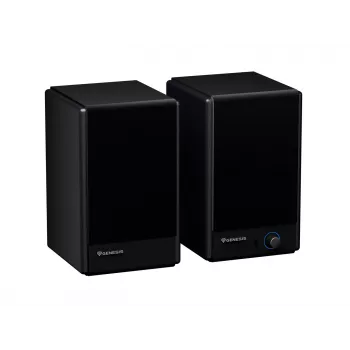 Genesis Arsen 402BT NGS-2415 Desktop-Lautsprecher, 2.0, 60 W, Bluetooth 5.3, Schwarz