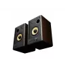 GENESIS ARSEN 402BT 2-Wege Bronze Kabelgebunden & Kabellos 60 W
