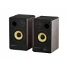 GENESIS ARSEN 402BT 2-Wege Bronze Kabelgebunden & Kabellos 60 W