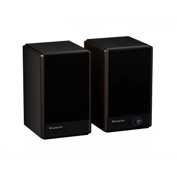 GENESIS ARSEN 402BT 2-Wege Bronze Kabelgebunden & Kabellos 60 W