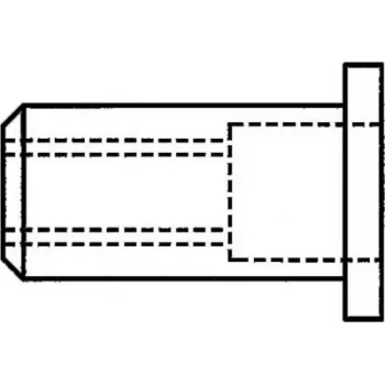 GESIPA Blindnietmutter M10 x 12 x 17,5 mm Stahl verzinkt Flachkopf, Klemmbereich 0,25–3,5 mm, 100er-Pack (1433709)