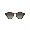 GIORGIO ARMANI Damen Sonnenbrille AR8146-596271 Havana Acetat Grün Verlauf 50/15/145 mm