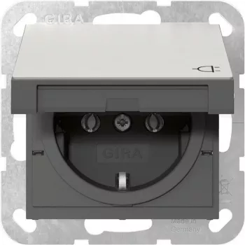 Gira 4454600 SCHUKO-Steckdose mit Klappdeckel, System 55, Edelstahl