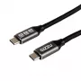GIZZU 100W 10Gbps USB-C 2m Kabel