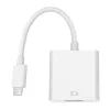 Gizzu 1080P Type-C auf VGA Adapter Poly