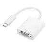 Gizzu 1080P Type-C auf VGA Adapter Poly
