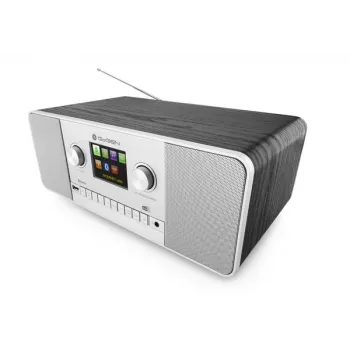GoGen IR 257 BTDAB Internet Digital Silber