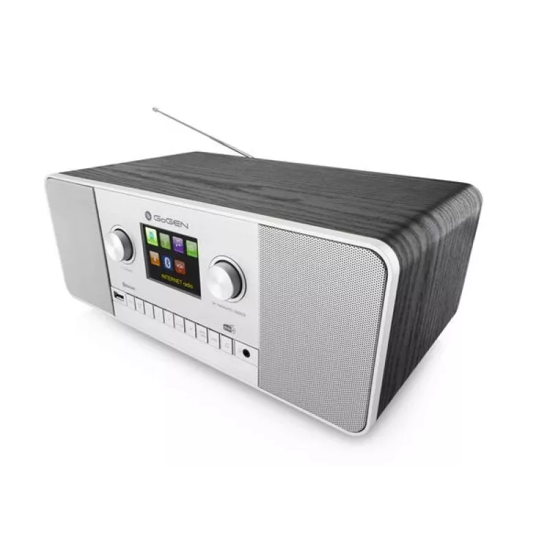GoGen IR 257 BTDAB Internet Digital Silber