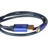 GoodConnections Alcasa 4824-SF010B Mini DisplayPort auf DisplayPort Kabel 1m Blau 4K@60Hz