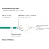 GoodConnections RNS® Cat. 6A S/FTP halogenfreies Patchkabel mit Rastnasenschutz, 3 m, Grün