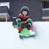 Hamax Sno Zebra Snow Racer Grün Polyethylen