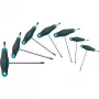 HAZET 829KKT/7 T-Profil Torx Schraubendreher-Set, 7-teilig (T10-T40)