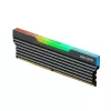 HIKSEMI Future RGB 16GB 3600MHz DDR4 UDIMM Gaming-Speicher - Schwarz