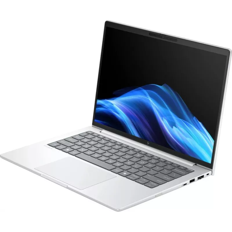 HP EliteBook 8 G1i 14 Zoll Laptop - Intel Core Ultra 5 228V, 32GB RAM, 512GB SSD, 14 Zoll WUXGA IPS, Windows 11 Pro, Pike Silver