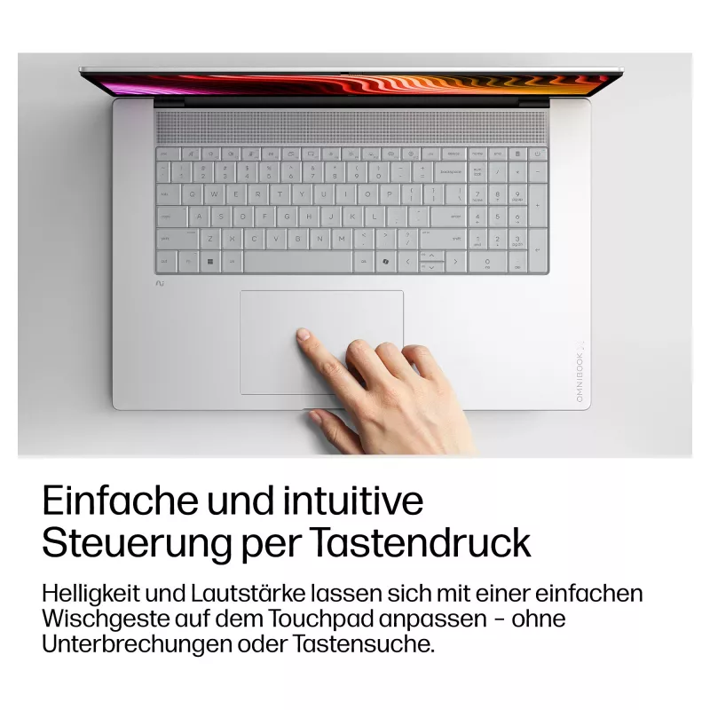 HP OmniBook X 17-de0473ngx Snapdragon X Elite X7-358H 32GB 1TB SSD Windows 11 Home Natur-Silber