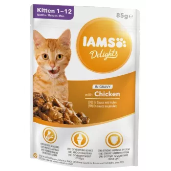 IAMS Delights Kitten Chicken in Gravy Nassfutter für Katzen, 12 x 85g Beutel