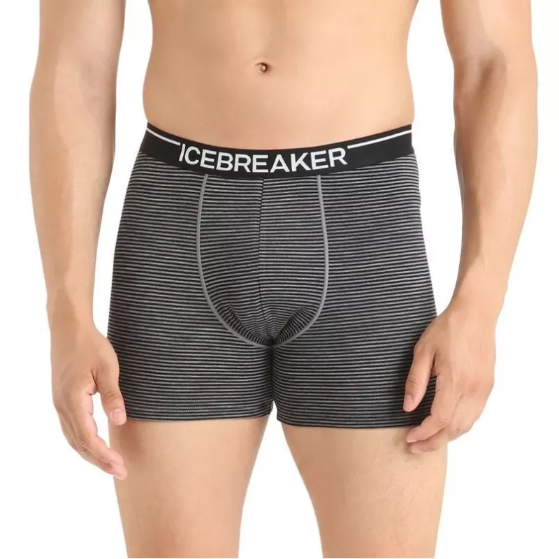 Icebreaker Anatomica Boxers Boxer Briefs - Gritstone (Grau) - Größe L