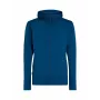 Icebreaker Quantum IV LS Zip Hoodie Herren Atlantis
