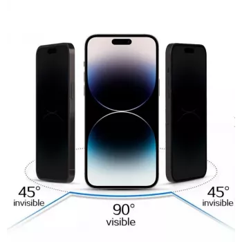 iLike Apple iPhone 17 Pro Panzerglas Privacy Displayschutz Schwarz