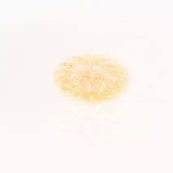 iLike Bumba Flower Ball RS-209 100 LED Warmweiß Deko Licht D-14cm