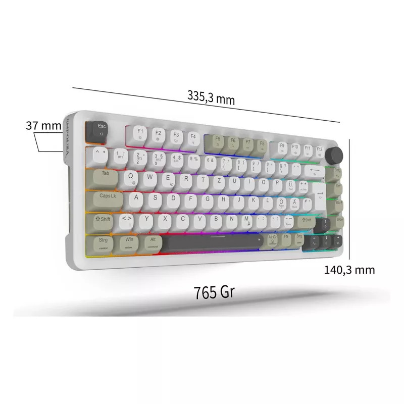 INCA Gaming-Tastatur RGB GraySwitch USB-C/BT 2,00m Weiß (IKG-455)