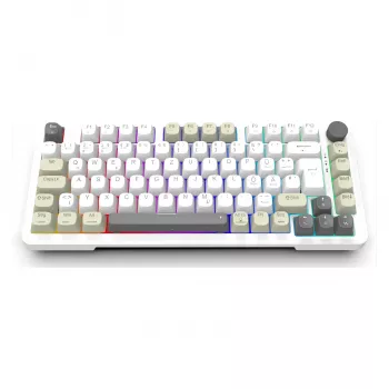 INCA Gaming-Tastatur RGB GraySwitch USB-C/BT 2,00m Weiß (IKG-455)