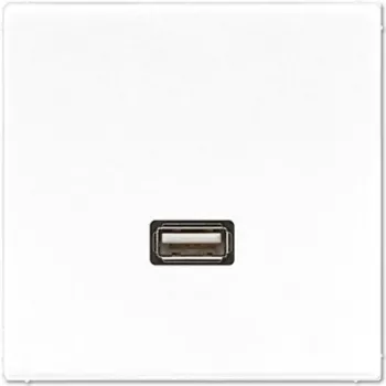 JUNG LS-Serie USB 2.0 Anschlussmodul, Alpinweiß (MALS1122WW)