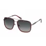 JUST CAVALLI Unisex Sonnenbrille SJC030V5809JC Havana Acetat Braun Verlauf 58mm