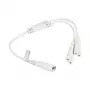 KABELMEISTER SK0877-W003 Power-Splitter-Kabel IEC C8 auf 2x IEC C7, 0,3 m, Schwarz