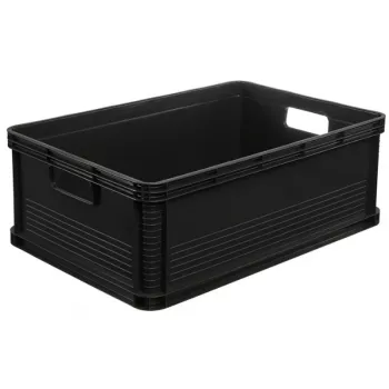 keeeper Robert 45L Graphit Transportbox, 30kg Traglast, 60x40x22cm, stapelbarer Eurobehälter mit Deckel