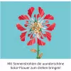 Kosmos Solar-Flower Science Experiment Kit