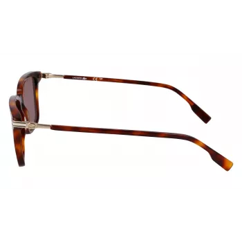 Lacoste Herren-Sonnenbrille L6035S5318214 - Havanna-Acetatrahmen, braune Gläser, 53 mm