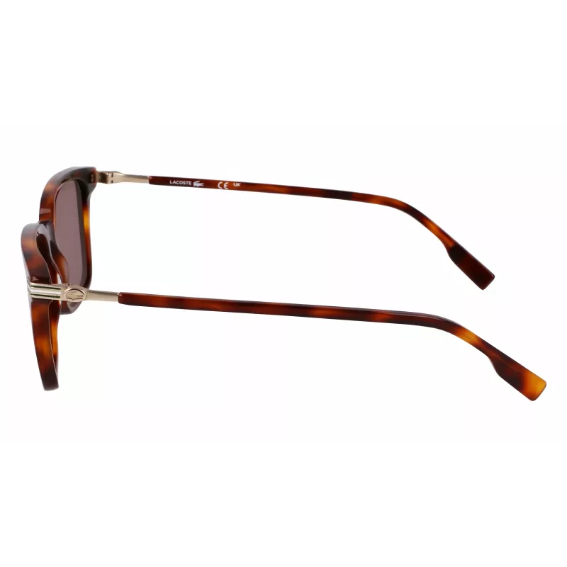 Lacoste Herren-Sonnenbrille L6035S5318214 - Havanna-Acetatrahmen, braune Gläser, 53 mm
