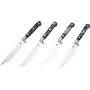 Laguiole Steakmesser-Set 4-teilig mit Harzgriff