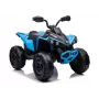 LEAN CARS Elektrisches Quad CAN-AM Renegate Blau