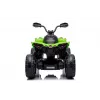 LEAN CARS Elektrisches Quad CAN-AM Renegate Grün