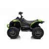LEAN CARS Elektrisches Quad CAN-AM Renegate Grün