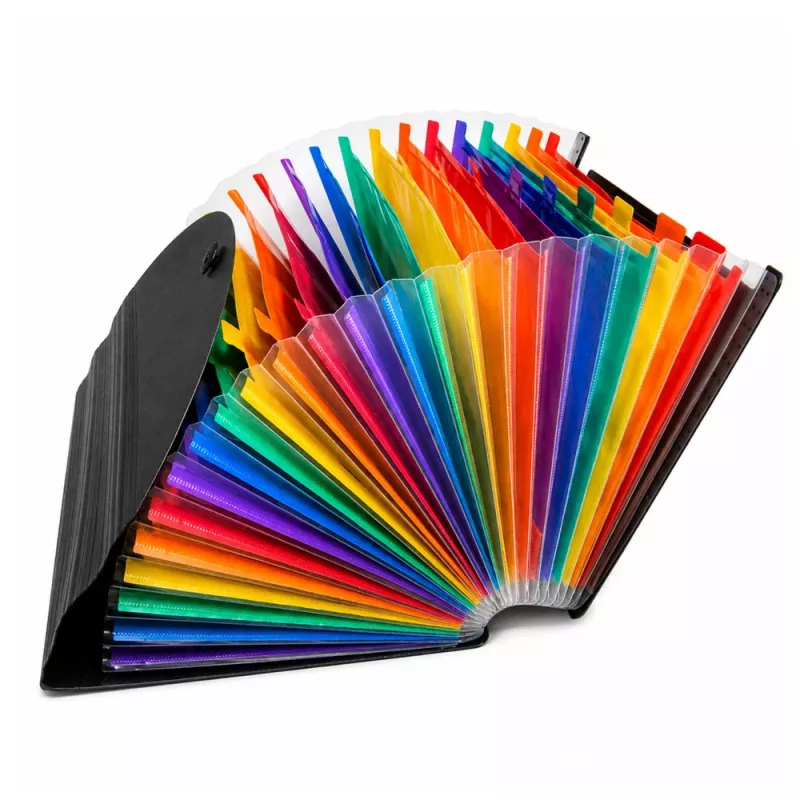 LEAN Folder Organizer für Dokumente, 25 Fächer, A4, Schwarz
