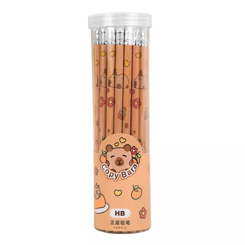 LEAN Set mit 30 HB Graphitstiften und Capybara-Radierer in einer Tube