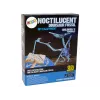 LEAN TOYS Archäologie-Ausgrabungsset Dinosaurierskelett Pteranodon 3D-Hologramm