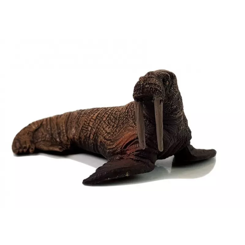 LEAN TOYS Lernfiguren Meerestiere 8-teilig Haie Robbe Delfin Walross Schildkröte